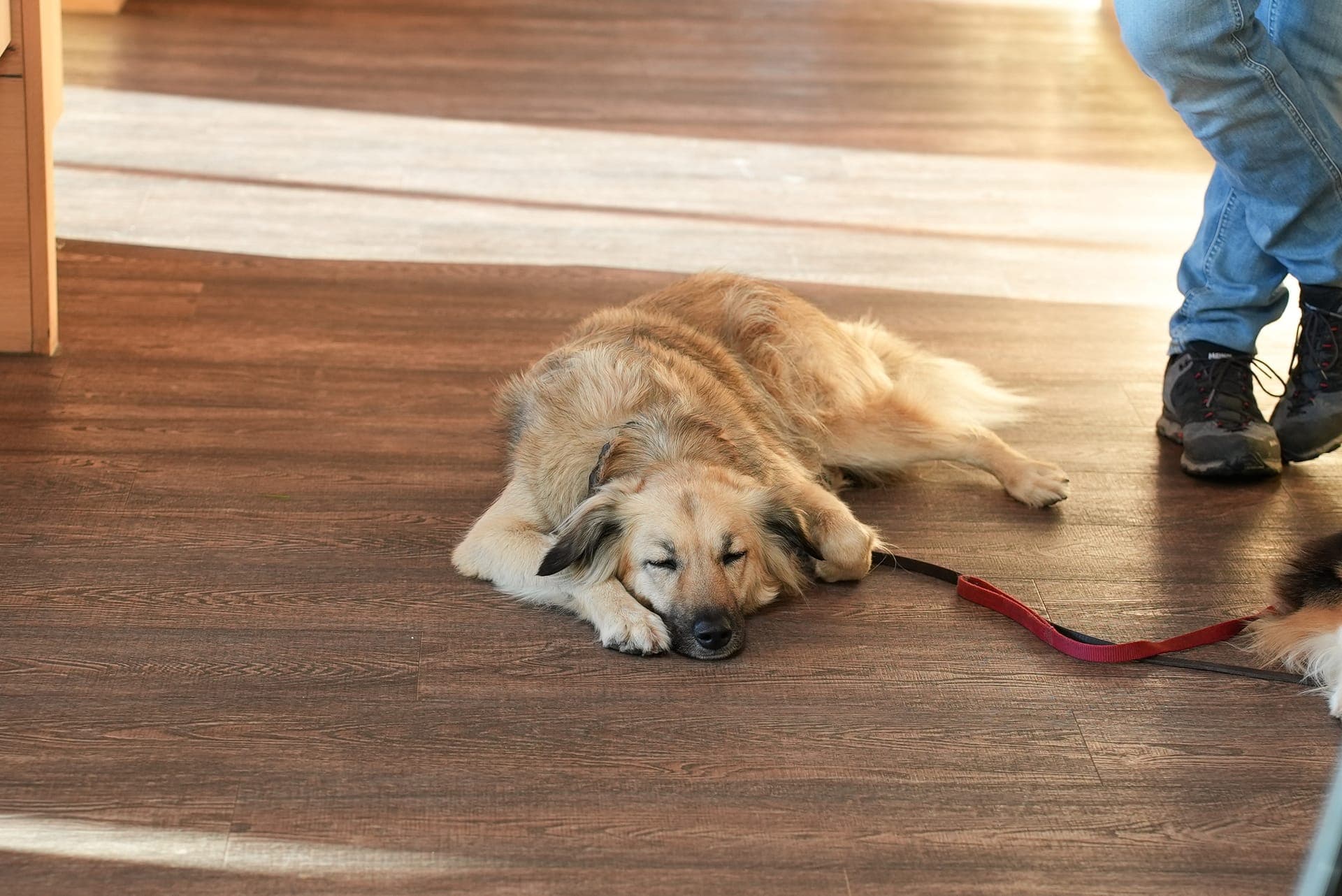 Entspannung im Zimmer