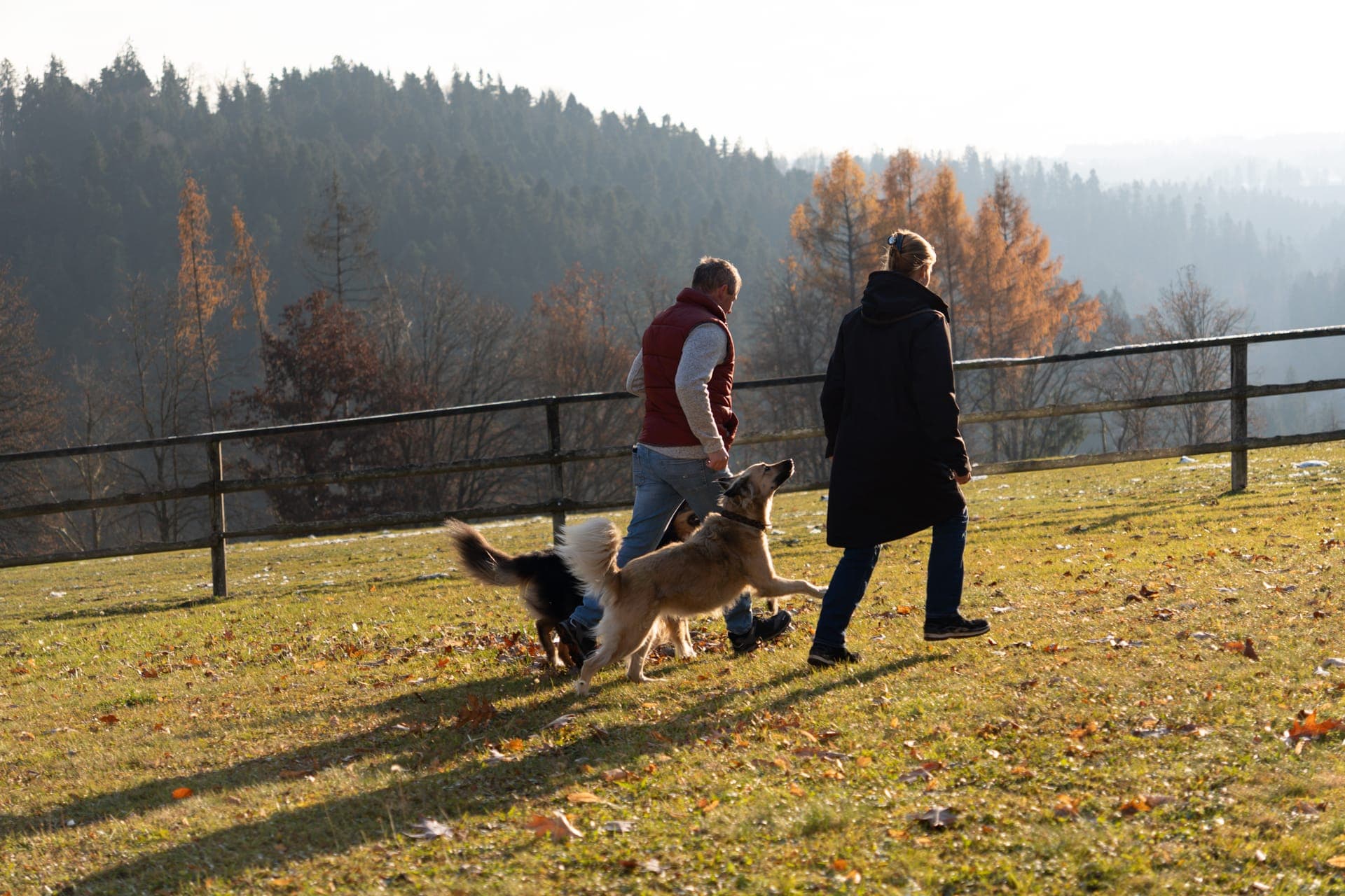 Wanderung im Wald