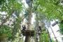 images/freizeit/ausflugsziele/kletterwald01.jpg