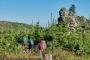 images/freizeit/bayerwaldberge/dreisessel03_tvo_woidlife-photography.jpg