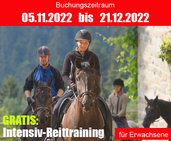 Intensives Reittraining auf Gut Feuerschwendt