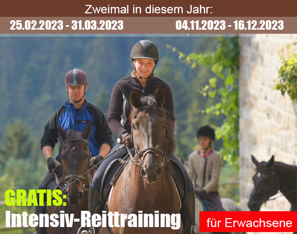 gratisreittraining