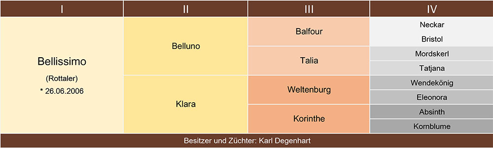 Bellissimo Ahnentafel web