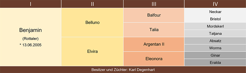 Benjamin Ahnentafel web