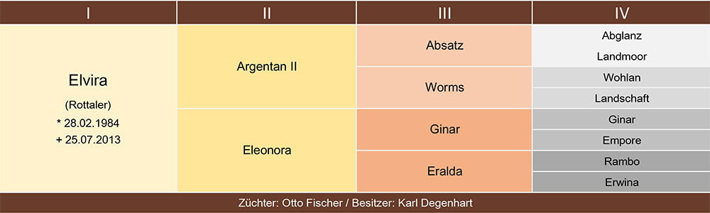 Elvira Ahnentafel web
