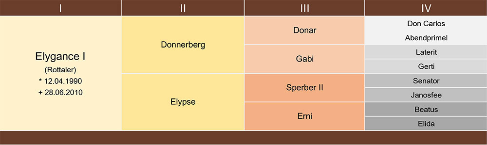 Elygance I Ahnentafel web