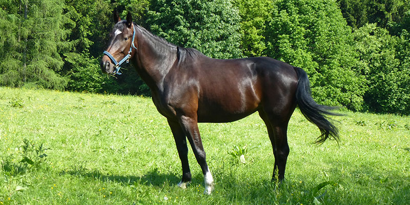 00 estella 02