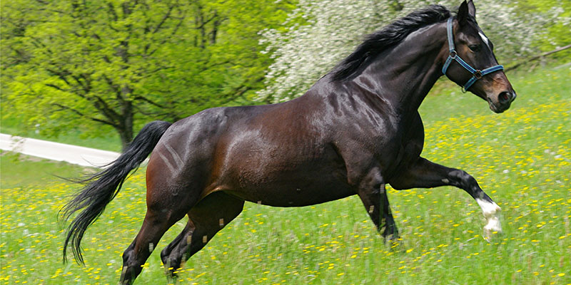 00 estella 03