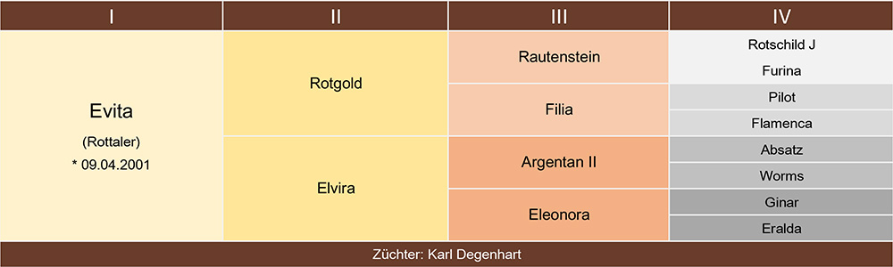 Evita Ahnentafel web