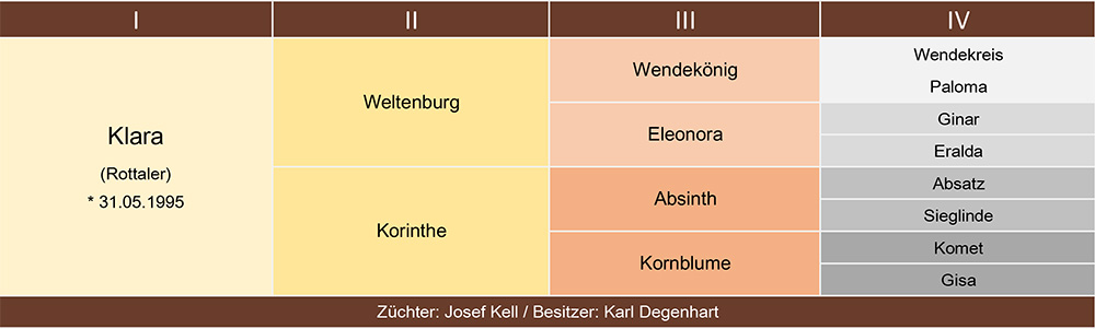 Klara Ahnentafel web