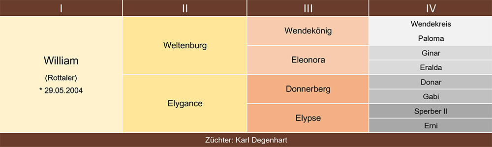 William Ahnentafel web