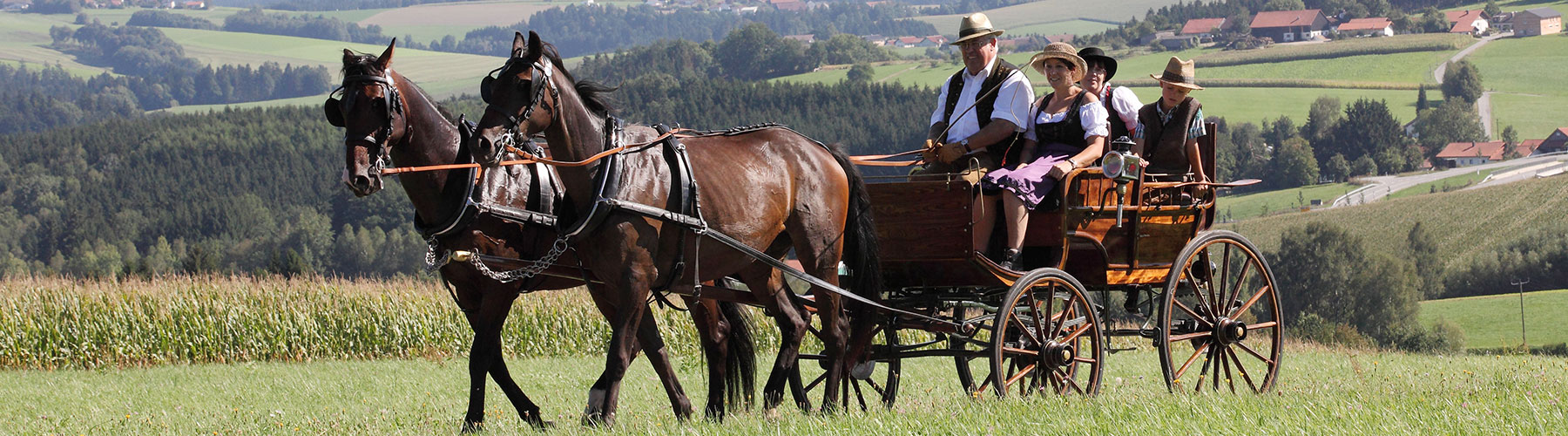 Mit der Kutsche unterwegs